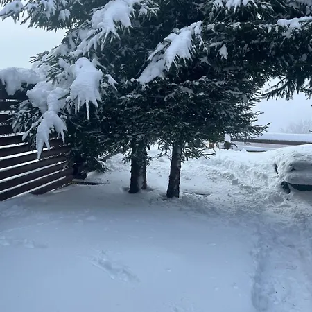 Casa Pavlovic * Kopaonik