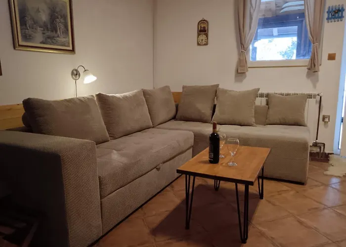 アパート Casa Pavlovic コパオニク