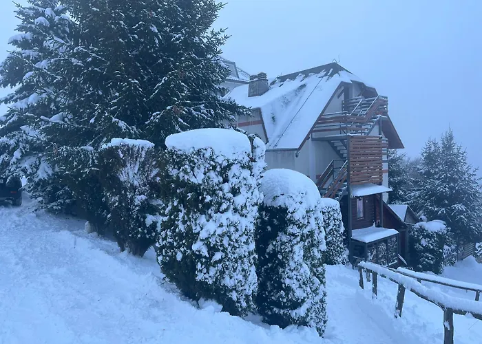 Casa Pavlovic * コパオニク