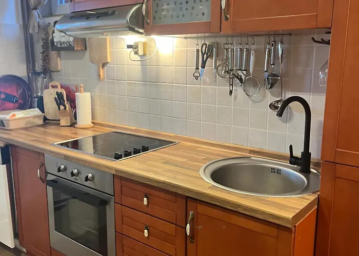 アパート Casa Pavlovic コパオニク