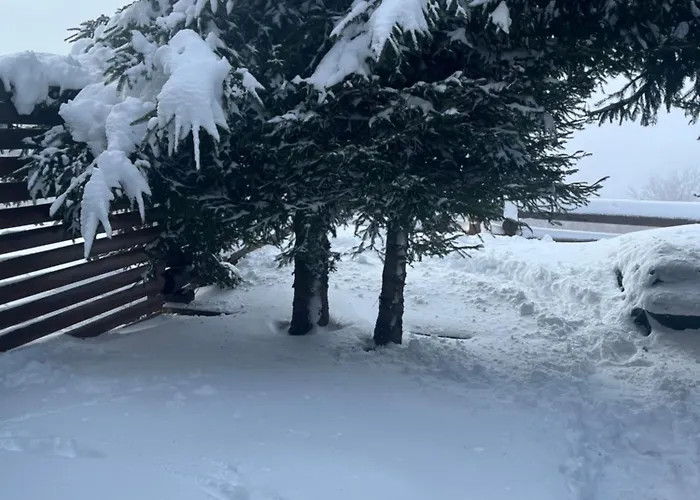 Casa Pavlovic * コパオニク