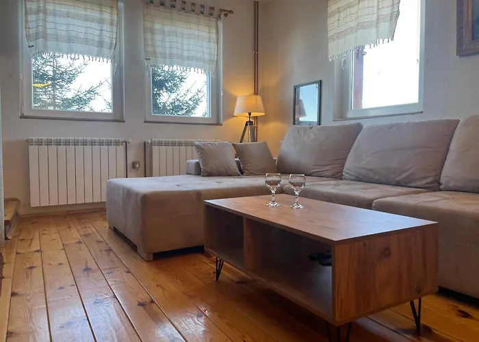 アパート Casa Pavlovic コパオニク