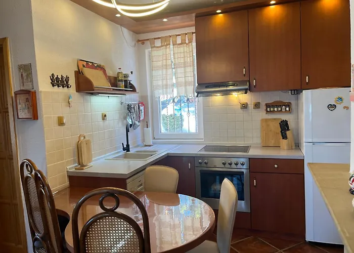 Casa Pavlovic アパート コパオニク