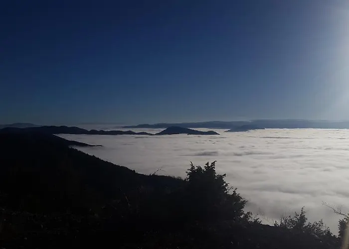 Casa Pavlovic * コパオニク