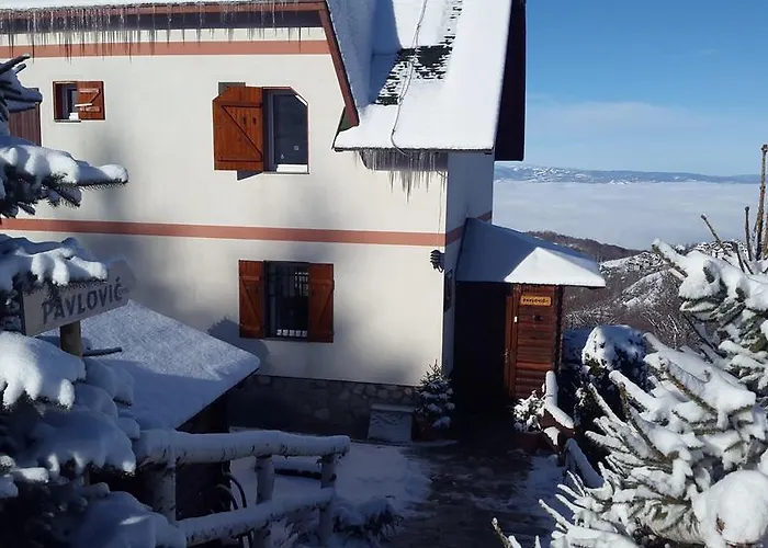 Casa Pavlovic アパート コパオニク