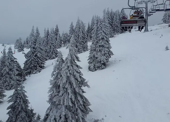 Casa Pavlovic アパート