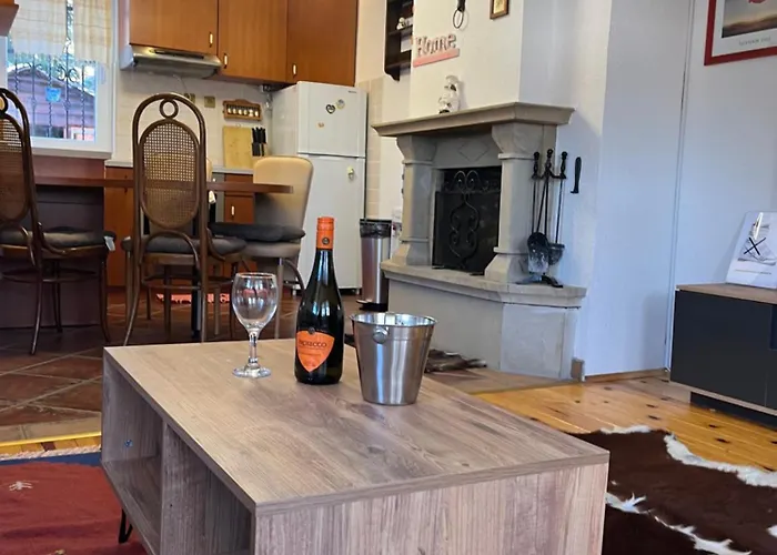 アパート Casa Pavlovic コパオニク